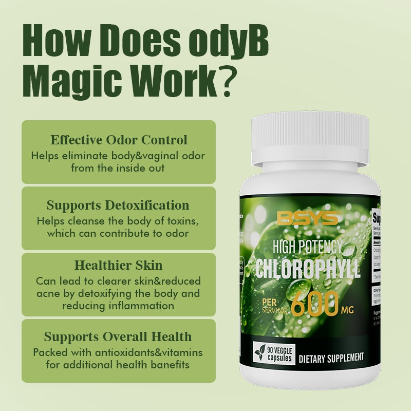 BSYS Chlorophyll Capsules   Daily Detox & Wellness Supplement
